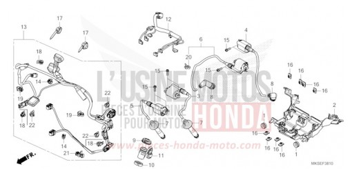 FAISCEAU SECONDAIRE/BOBINE D'ALLUMAGE CRF1100AM de 2021